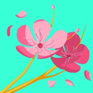 Meet your Posher, Jade